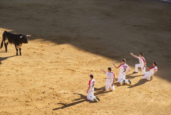 DANA LJUBIMOVOVÁ: BOLA SI UŽ NA KORIDE?