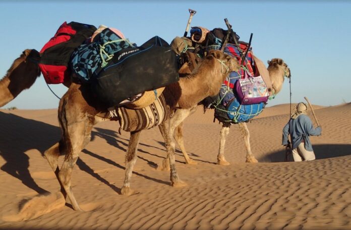 Zuzana Freyja: Predala svoj podiel vo firme a odišla hľadať zmysel života