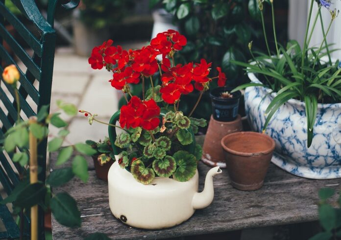 5 vedecky overených dôvodov, prečo vám pobyt v prírode prospieva