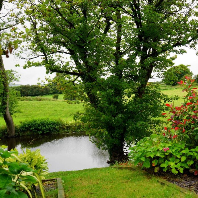 Staviame domy a zabúdame na stromy?