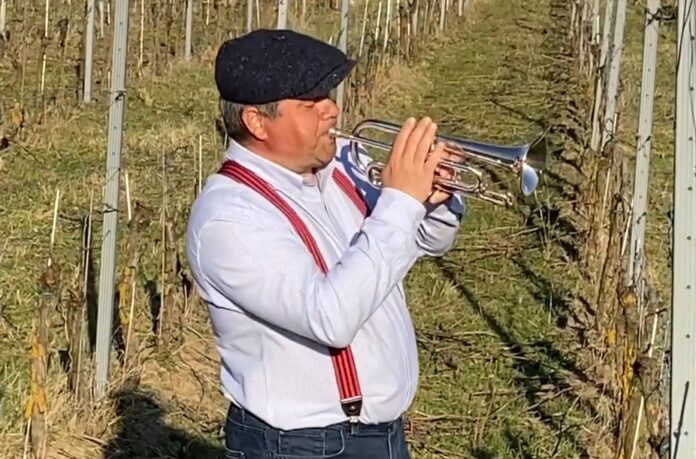 Ako pestovať vinič a dorobiť víno hovorí Roman Feder