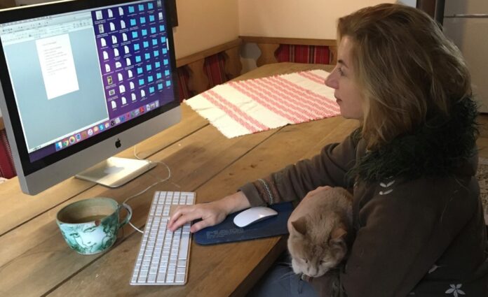 Húsenice, pavúky, chrobáky, čmeliaci, vážky a iné