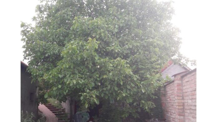 Nešťastní ľudia robia nešťastné činy