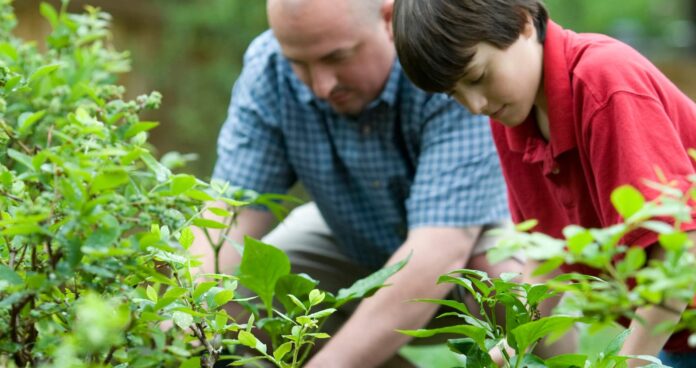 Zbavte sa komárov a múch vďaka bylinkám
