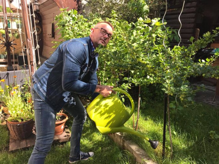 Hustý zelený trávnik ako na ihrisku