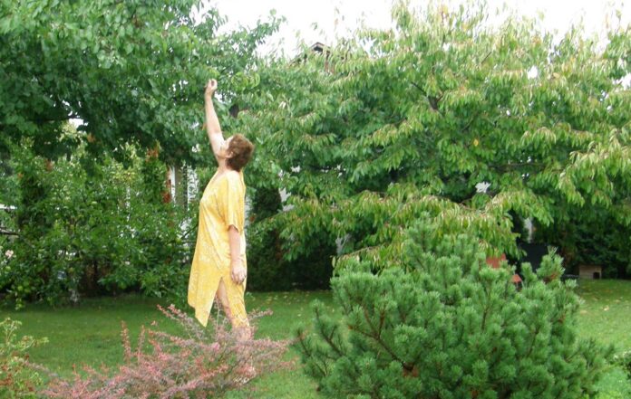 Katarína Gregorová: Ako zabiť zlého draka