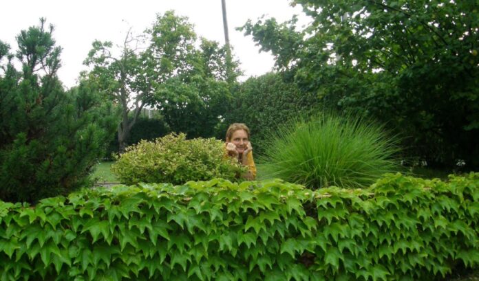 Rozprávka o troch grošoch je aktuálna