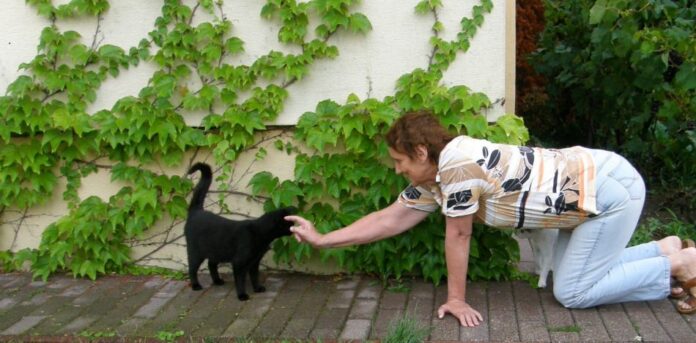 Rozprávka o zhavranelých bratoch