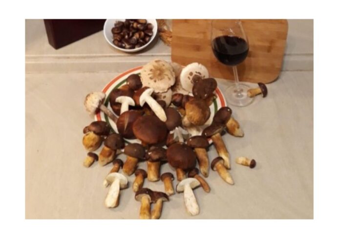 Hubová polievka z masliakov - originál kulajda