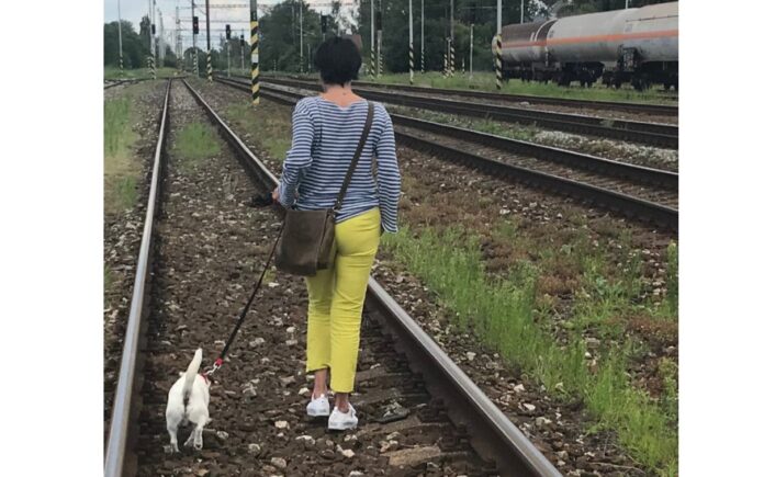 Žiadosť o výklad opatrení od 24.10.2020