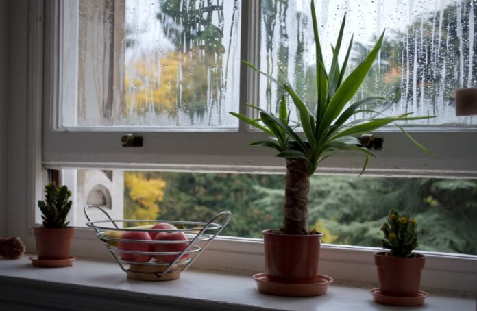 Vetranie miestnosti vás zbaví škodlivín