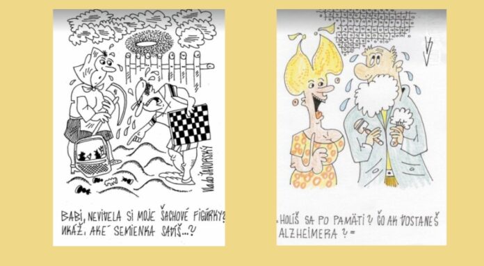 Pacienti trpiaci demenciou, nie sú blázni.