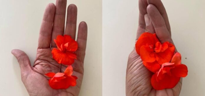 “Mám svoj život vo svojich rukách”