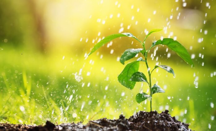 Pripravte si dažďovú vodu na zavlažovanie jarnej záhrady