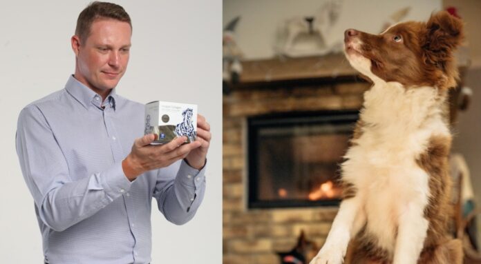 Ako vybrať kolagén pre psa