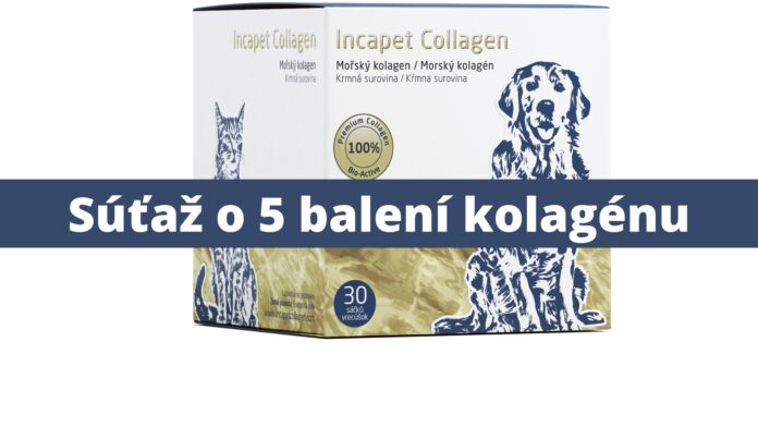 súťaž o 5 balení unikátneho Incapet kolagénu pre vášho psieho miláčika!