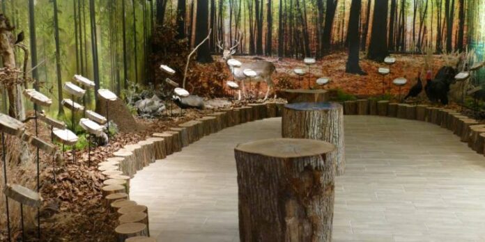 Prvá lesná škola na Slovensku