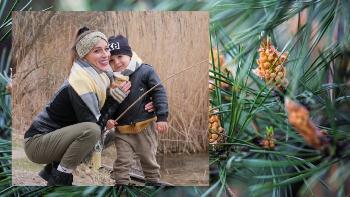 Recept na prípravu borovicového čaju a macerátu