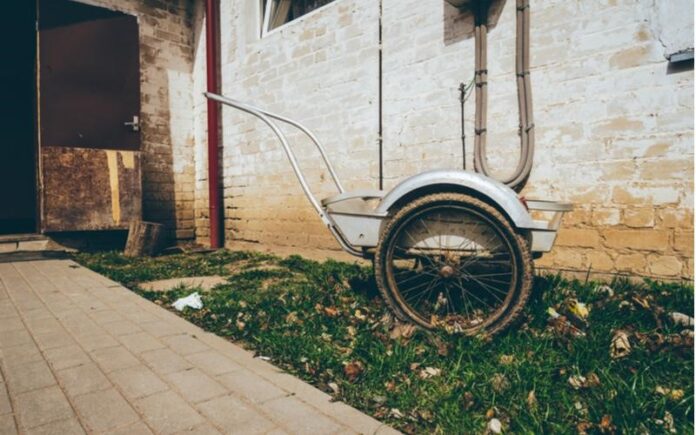 zdroj: nadia_if/shutterstock.com