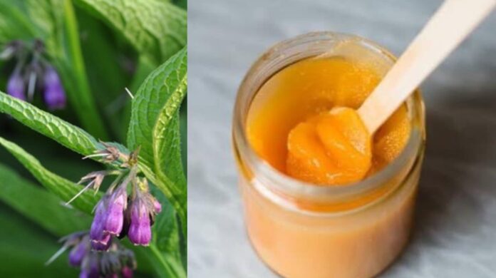 Masť z kostihoja a kostihojová tinktúra