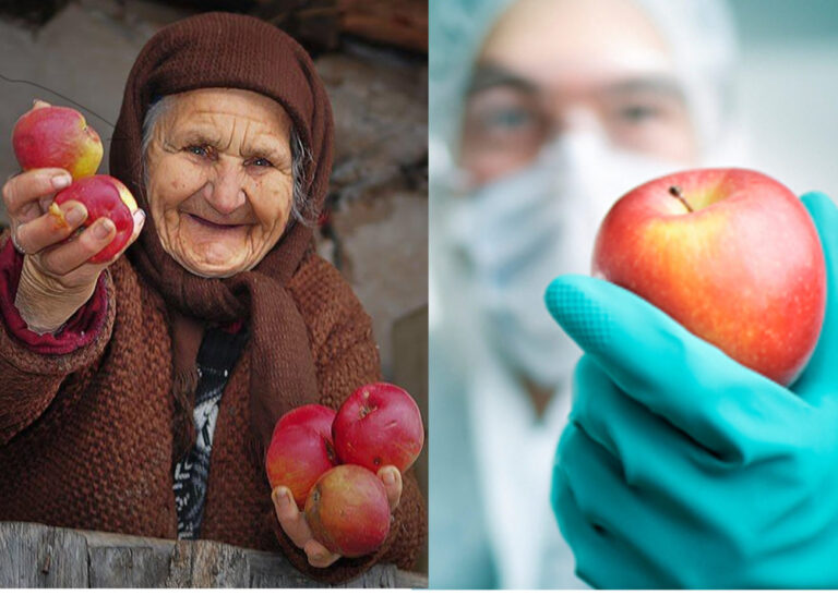 GMO nie sú bezproblémové, ako je prezentované. Spôsobujú neúmyselné zmeny DNA