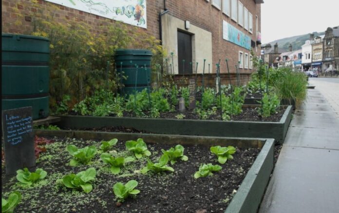 Ako začať pestovať zeleninu v meste