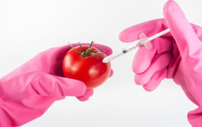 Nové GMO