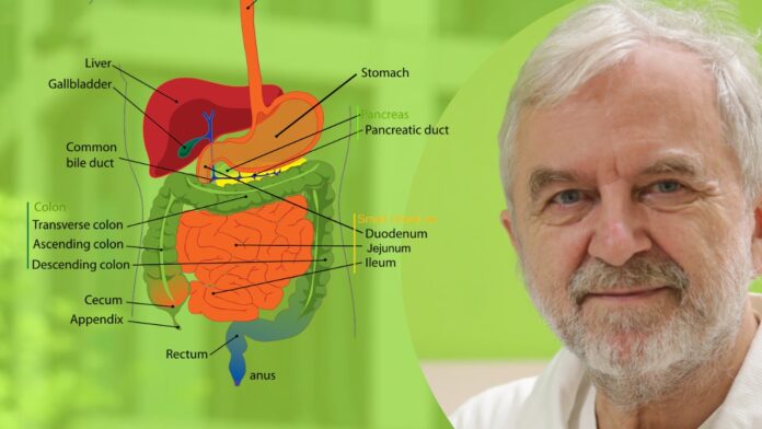 Existujú tri hlavné príčiny choroby pečene