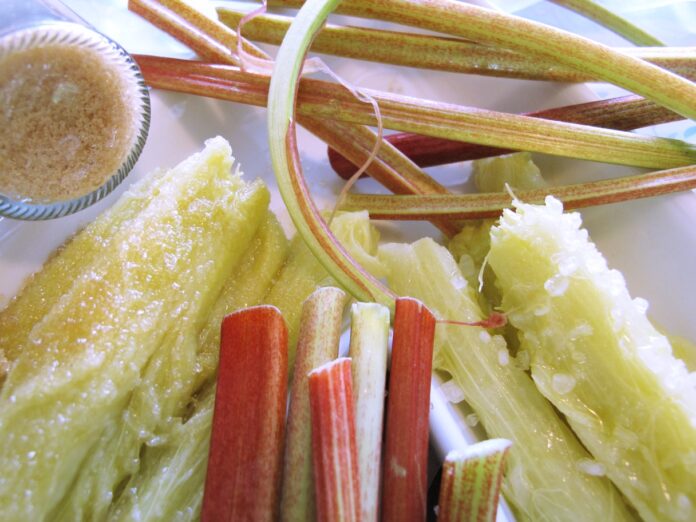 Rebarbora + reďkovka + cibuľka