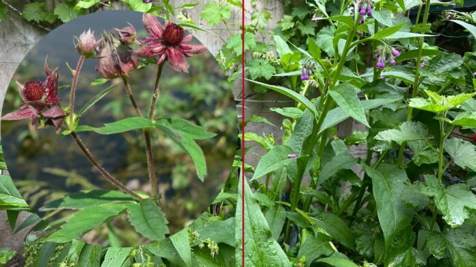 Bolesti kostí Dostal som otázku čo robiť pri bolesti kostí