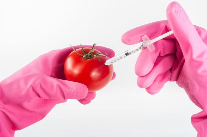 nové GMO