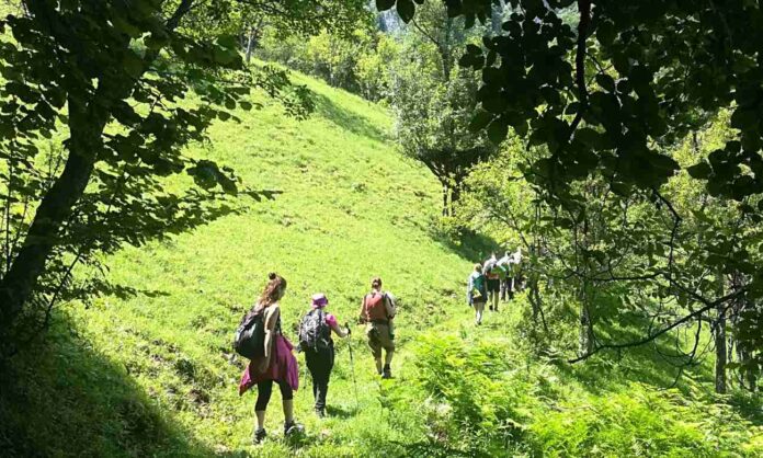 liečebné hladovanie